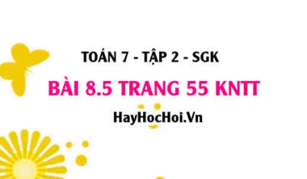 Bài 8.5 trang 55 Toán 7 Tập 2 Kết nối tri thức